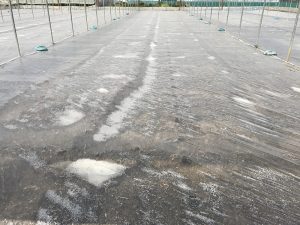 solarization intensive practiced soils